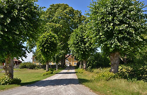 Fridlevstads kyrka