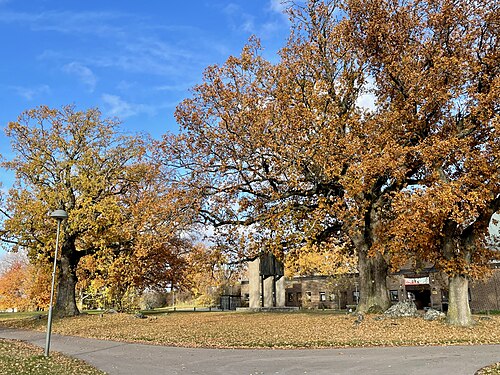 Skäggetorps kyrka